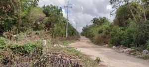 Hallan cuerpo putrefacto en La Unión