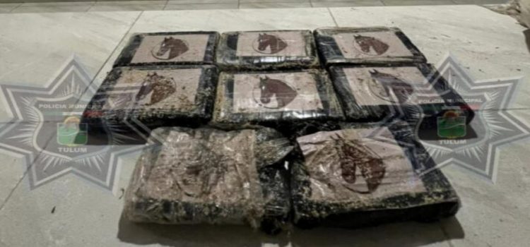 Aseguran paquetes con cocaína en Tulum
