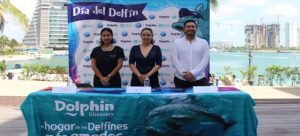 Celebrarán Día del Delfín