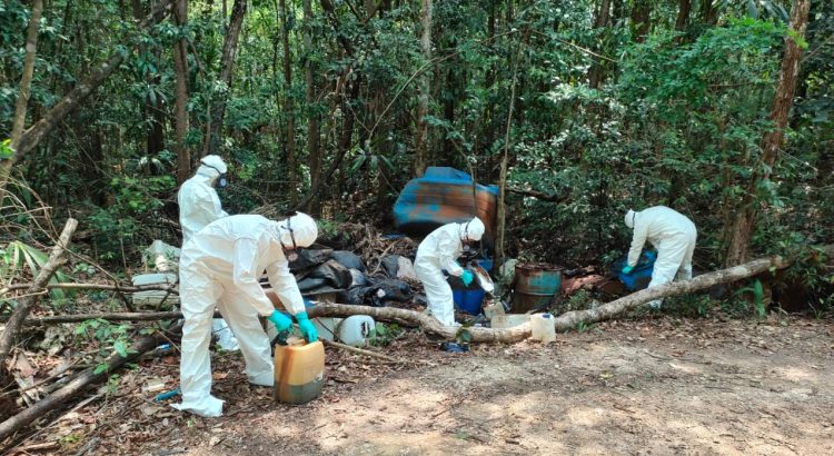 Ejército encuentra un narcolaboratorio en medio de la selva de Quintana Roo