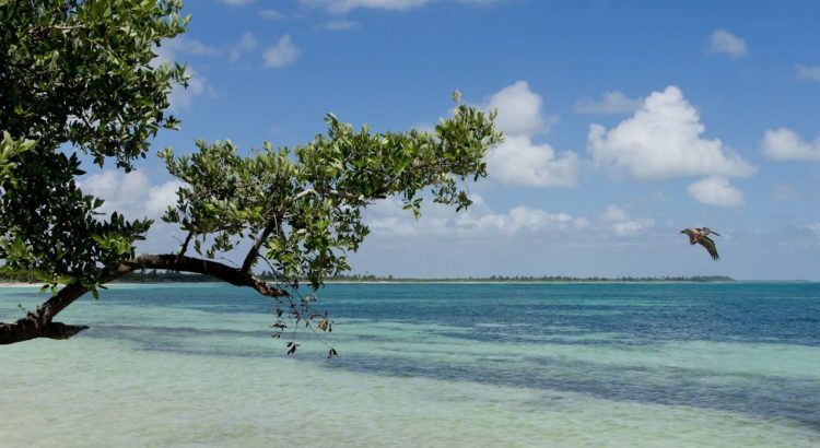 Semarnat busca la declaratoria de 3 nuevas áreas naturales en Quintana Roo