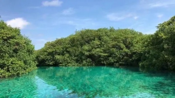 Buscan crear dos nuevas áreas naturales protegidas en Quintana Roo