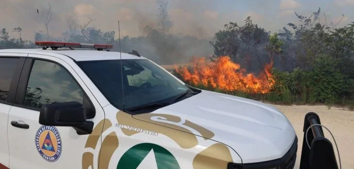 Incendios han consumido 600 hectáreas en Benito Juárez, QRoo