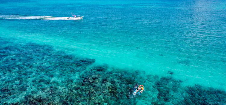 Preocupa a expertos daños del calor en los corales en Quintana Roo