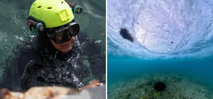 Detectan origen de borbotones de agua en el mar de Cozumel viralizados en redes sociales