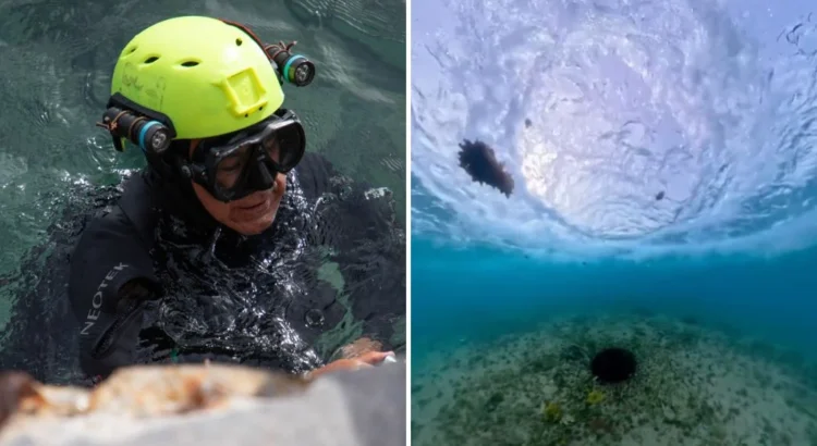 Detectan origen de borbotones de agua en el mar de Cozumel viralizados en redes sociales