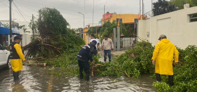 Anuncia Gobernadora casi 37 mdp para atención de la emergencia climática en Chetumal