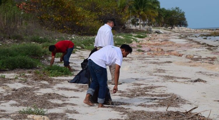 Hoteleros limpiarán la carretera costera Tulum-Boca Paila