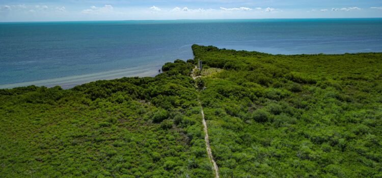Anuncia Mara Lezama reanudación de la obra Puerta al Mar, en Felipe Carrillo Puerto