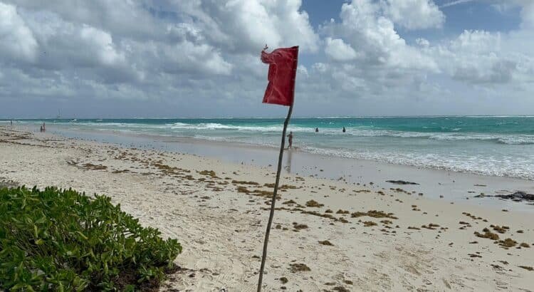 Protección Civil de Tulum exhorta a respetar las banderas rojas en las playas