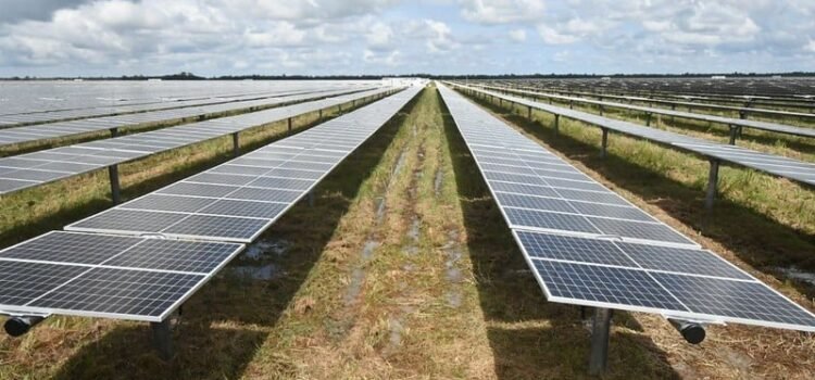 Quintana Roo tiene un gran potencial para impulsar energías limpias