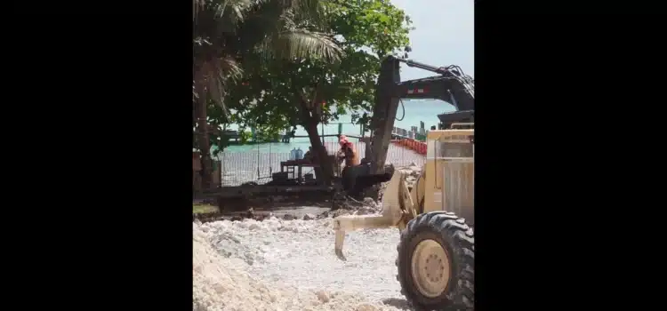 Greenpeace apoya acciones ciudadanas contra obra en Bacalar