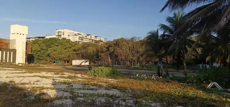 Gobierno municipal niega tala de mangle en Playa Mamitas; no hay licencia de construcción en la zona