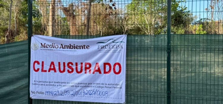 Clausura Profepa predio desmontado en Playacar