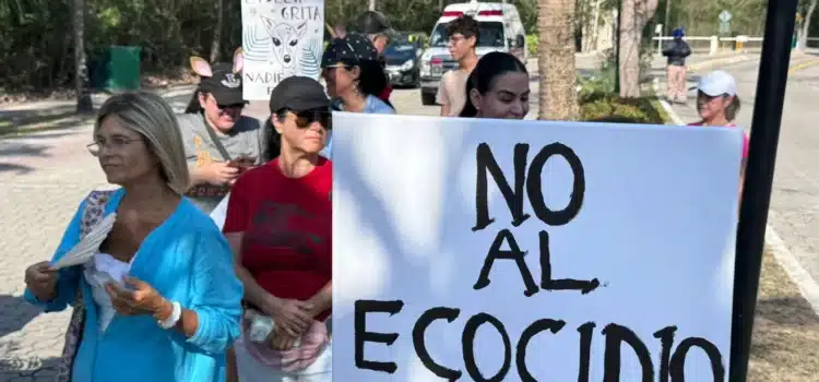Vecinos de Playacar marchan en favor de la vida silvestre