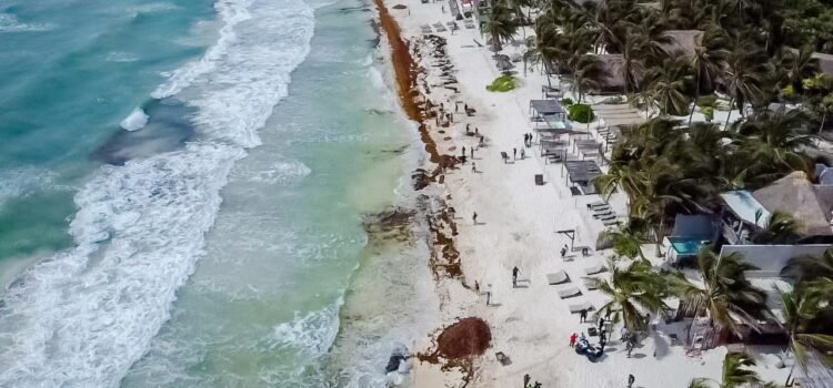 Elaboran estudio de capacidad de carga de las playas de Tulum