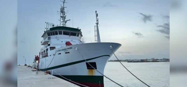 México lidera investigación pionera para aprovechar el sargazo como recurso pesquero