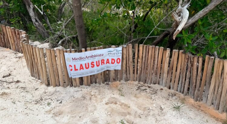 Profepa clausura dos desarrollos inmobiliarios en Holbox