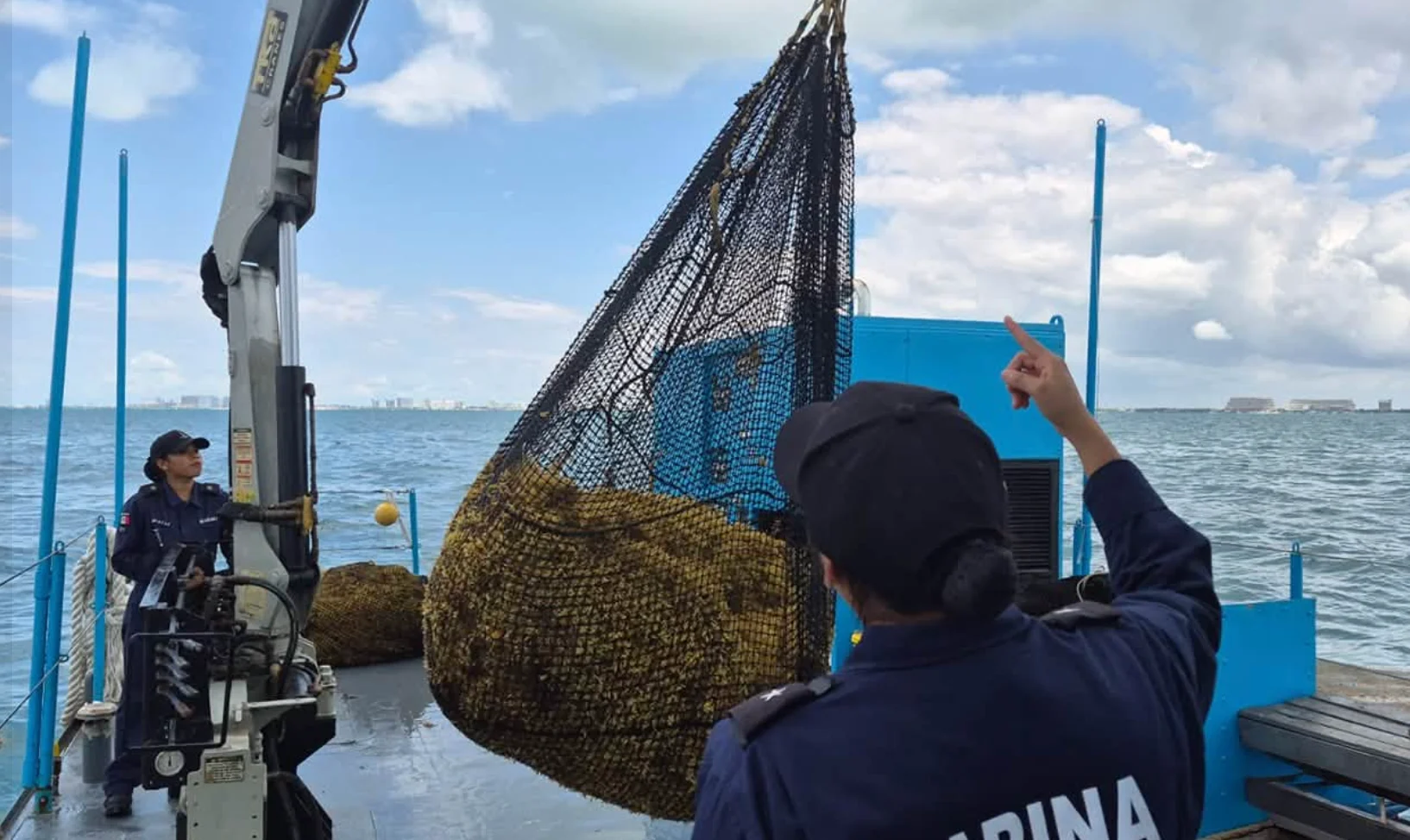 Quintana Roo alista primera pesquería formal de sargazo a nivel internacional